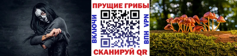 наркотики  Советский  mega сайт  Галлюциногенные грибы прущие грибы 