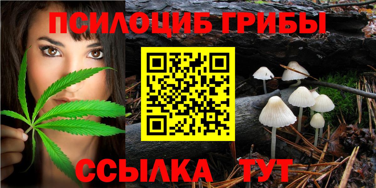 Галлюциногенные грибы Psilocybine cubensis  Вход с VPN  Галлюциногенные грибы GOLDEN TEACHER  Советский 