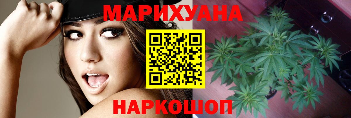 Конопля планчик  Каннабис White Widow  Вход с VPN  Советский  Шишки марихуана индика 